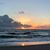 Sheri Weir Patton's profile image