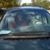 William J Toriello's profile image
