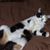 Gary Boscia's profile image