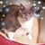 Diana Carns Bloom's profile image