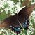 Gayla Bragg's profile image