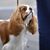 Kevin Ellingson's profile image