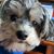 Michelle Franckowiak's profile image