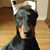 Jana Dupre's profile image
