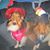 Cynthia A. McNiel's profile image