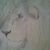 Tracy Whittemore's profile image