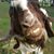 Jared Langevin's profile image