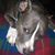 Tari Melton Tucciarone's profile image