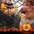 Debbi Guriel Olson's profile image