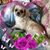 Nancy Harvey's profile image