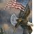 Debbie Freilinger's profile image