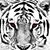 Heather Lenz's profile image