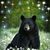 Tricia Holmes's profile image