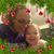 Holly Carnes's profile image