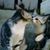 Joy Severa's profile image