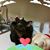 Jeanne Sposito's profile image