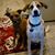 Beverly H. Fedorko-Ott's profile image