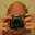 Andrew Walraven's profile image