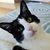 Margo Fournier's profile image