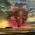 Shamara Hillsman's profile image