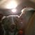 Jenny Schoenfeld's profile image