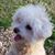 Doris O'Neil Durkin's profile image
