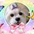 Terry Bame's profile image