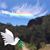 Cheryl Rightnour's profile image