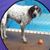 Debbie Cochran's profile image