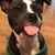 Kelly Lowe Cellini's profile image