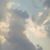 Tina L. Sewell's profile image