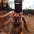 Kitty F Dillard's profile image