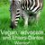 Dawn Michelle Shepley's profile image