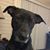 Jeanne Miller Pool's profile image