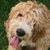 Patrick Hanson's profile image