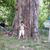 Kyaw Oo's profile image