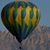 Ellen Flesher's profile image