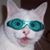 Bobbi Welch-Santanen's profile image