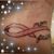 Diana Vars Menezes's profile image