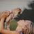 Donna Jean Gothia's profile image