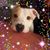Michelle Traylor's profile image