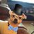 Tina Pagonis's profile image