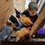 Pam Kolb Treder's profile image