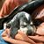 Caroline Budde's profile image