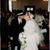Michele Moser Higgins's profile image