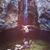 Ian Petti's profile image