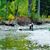 Christine Proulx-Donaldson's profile image