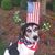 Dixie Yarbrough's profile image