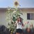 Shanbo Siciliano's profile image