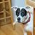 Melissa Guy Collins's profile image